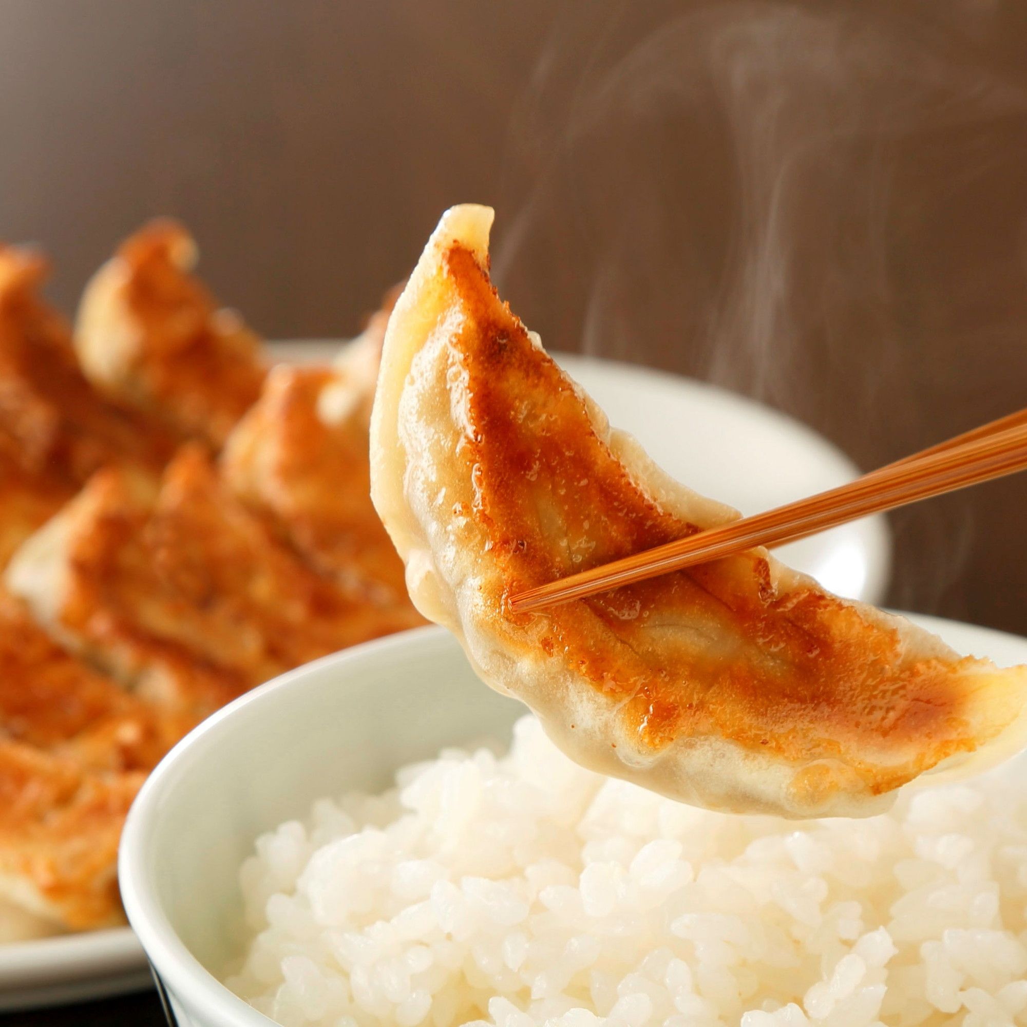 ＜信念フーズ＞信念手造り餃子セット 12個入り×5パック